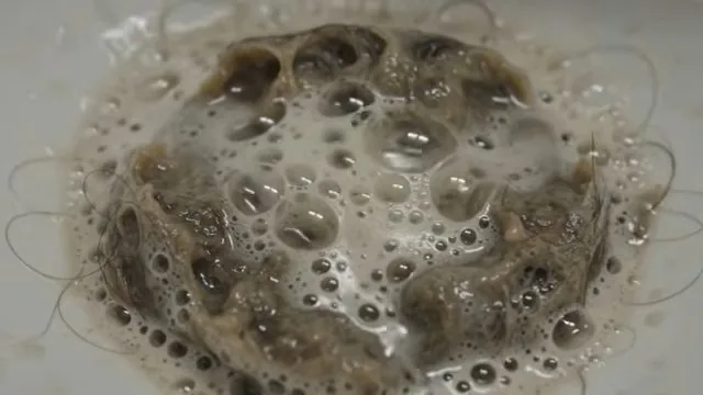 Close view of a drain opening filled with tangled hair, foam and brown residue