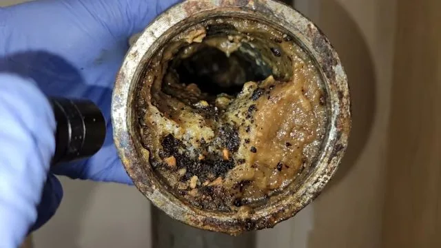 Gloved hand shining a flashlight into a rusty pipe section packed with brown grease and debris