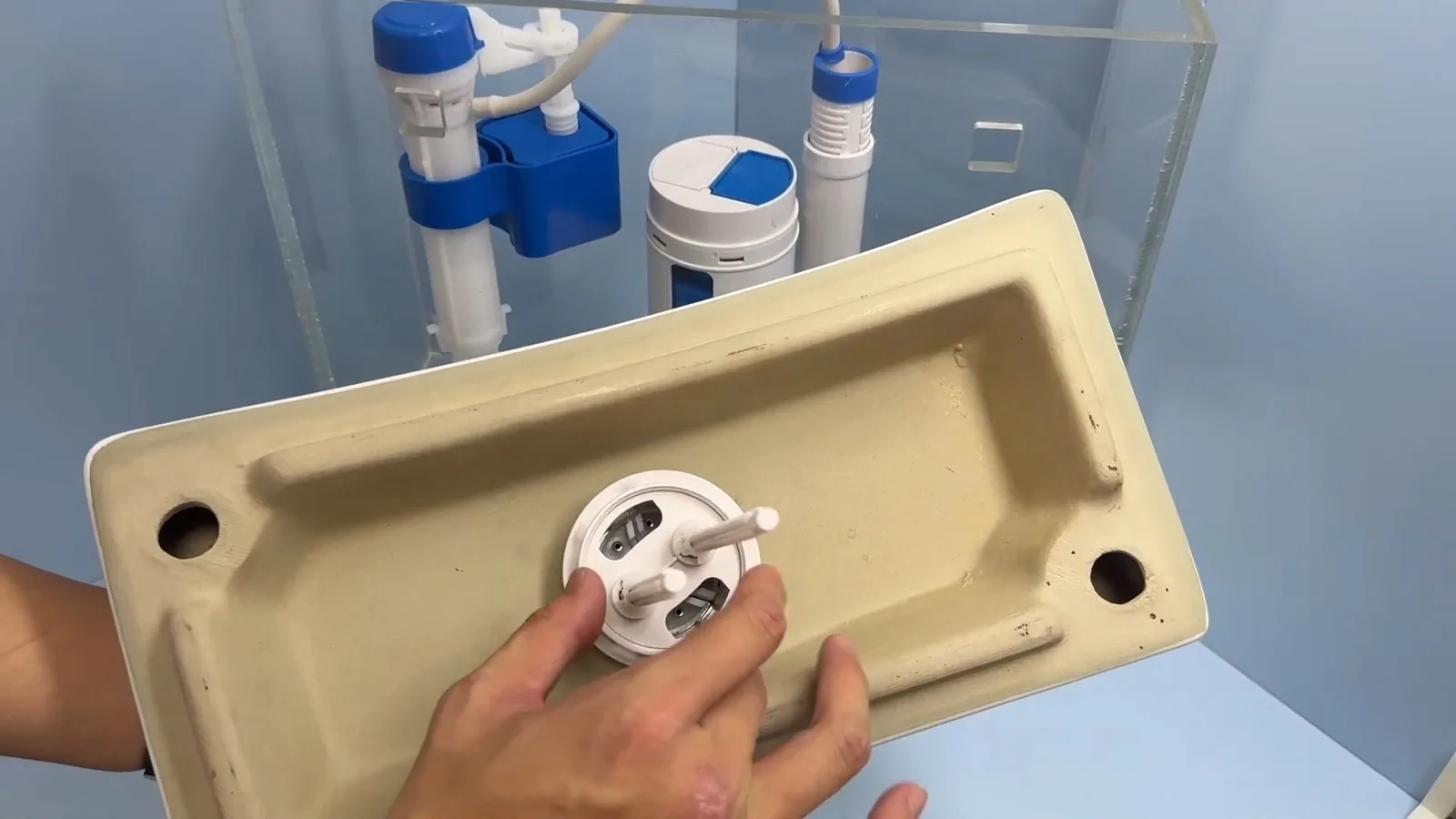 Toilet tank lid held upside down in front of a clear tank model showing a blue fill valve and an overflow tube