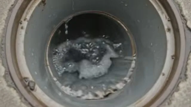 Looking down a round gray cleanout pipe where a jet of water churns foam at the bottom