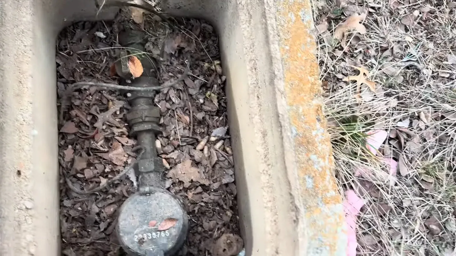 Concrete in-ground box holding a water meter and valve, with dry leaves and grass around it